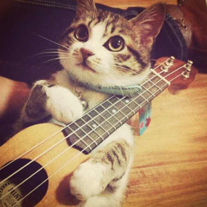 久爱精品亚洲电影午夜
